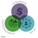 Résultats finaux social, économique et environnemental