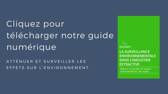 environnement guide numérique rapport