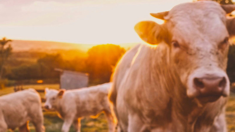 food-industry-article