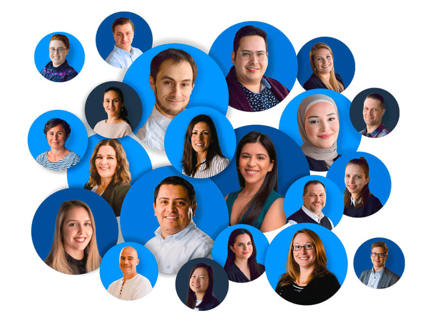 Borealis Customer Success team