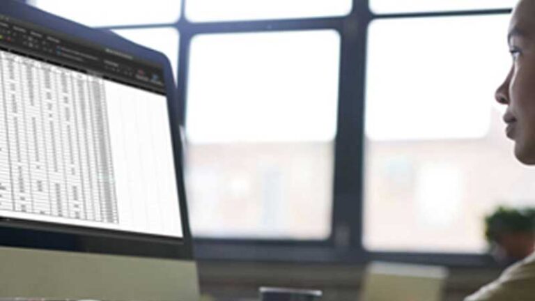 A young woman looks at her Excel spreadsheets on her computer screen