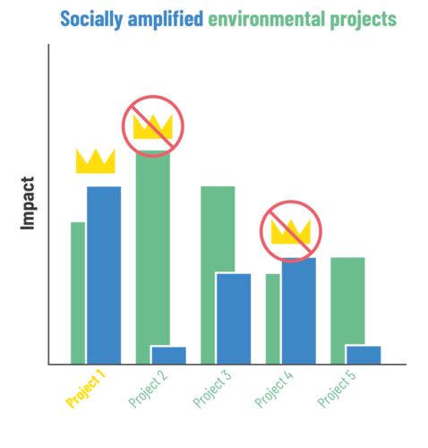 Socially amplified environmental projects yield the biggest business impact