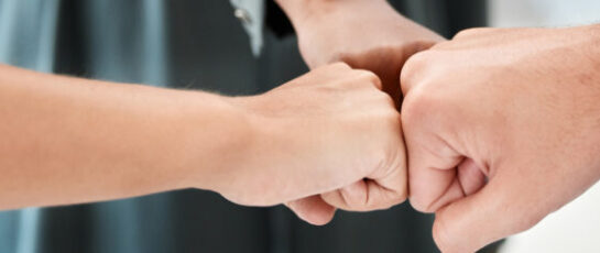 Manage Stakeholder Engagement