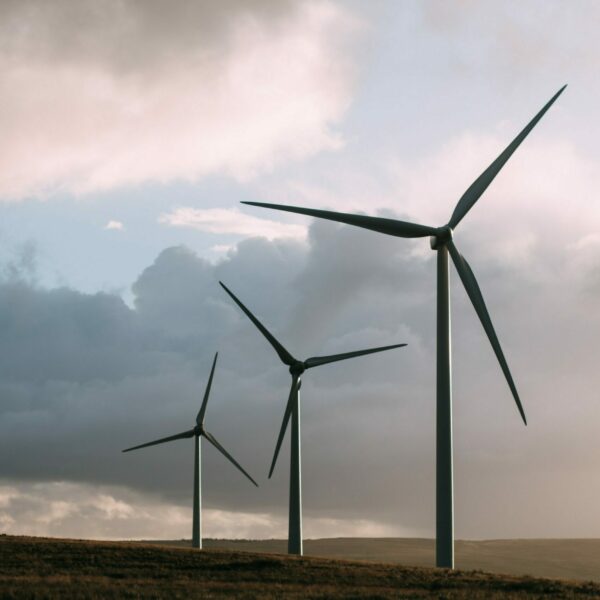 pexels-sam-forson-243138